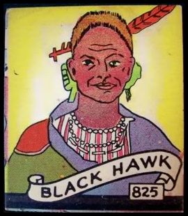 825 Black Hawk